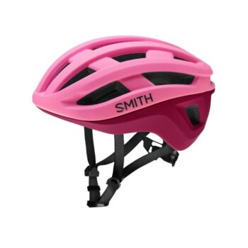 SMITH Persist MIPS
