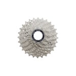 RRTZ_ShR7000_primary-il